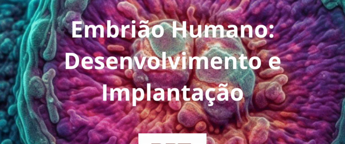 Embrião Humano Desenvolvimento E Implantação Programa Rpt 