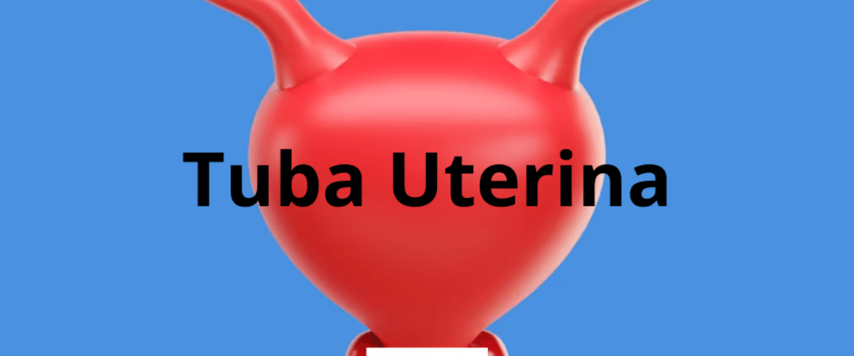 tuba uterina