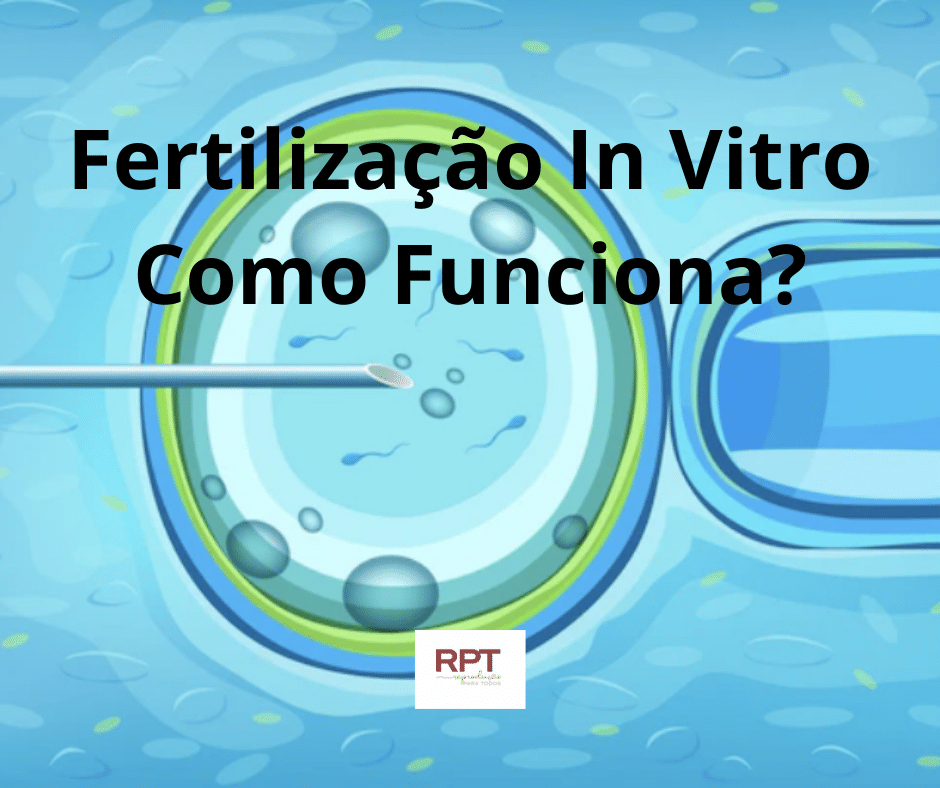 Fertilização In Vitro Como Funciona?