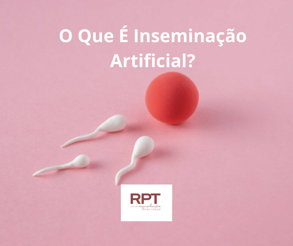 O Que É Inseminação Artificial?