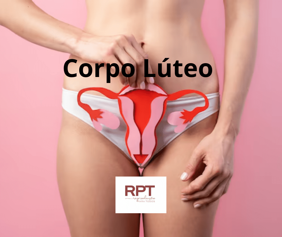 Corpo Lúteo