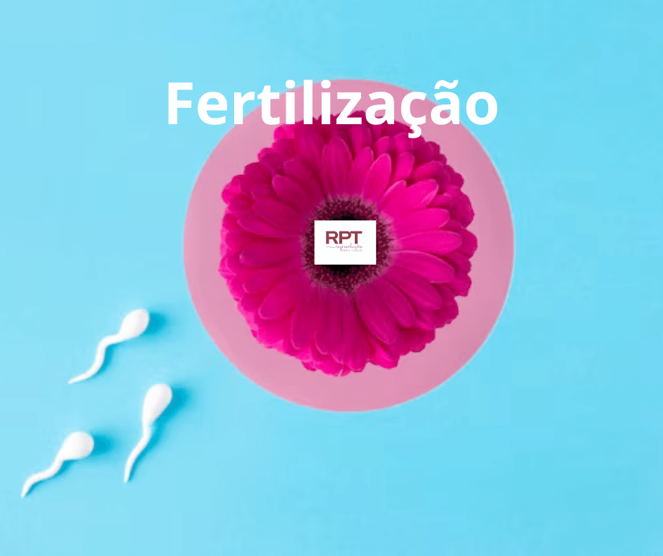 Fertilização