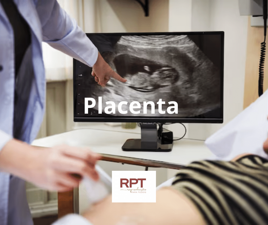 placenta