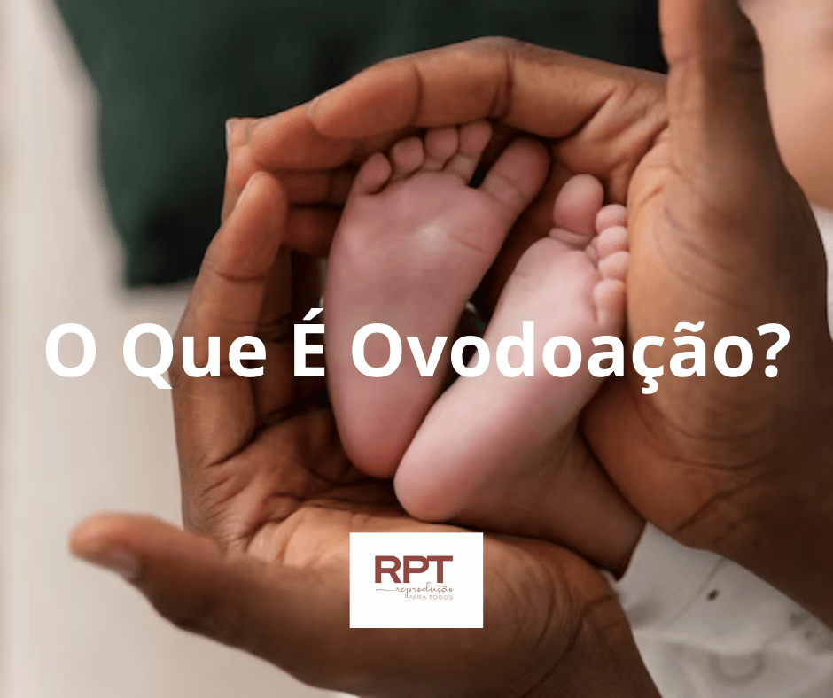 O Que É Ovodoação?