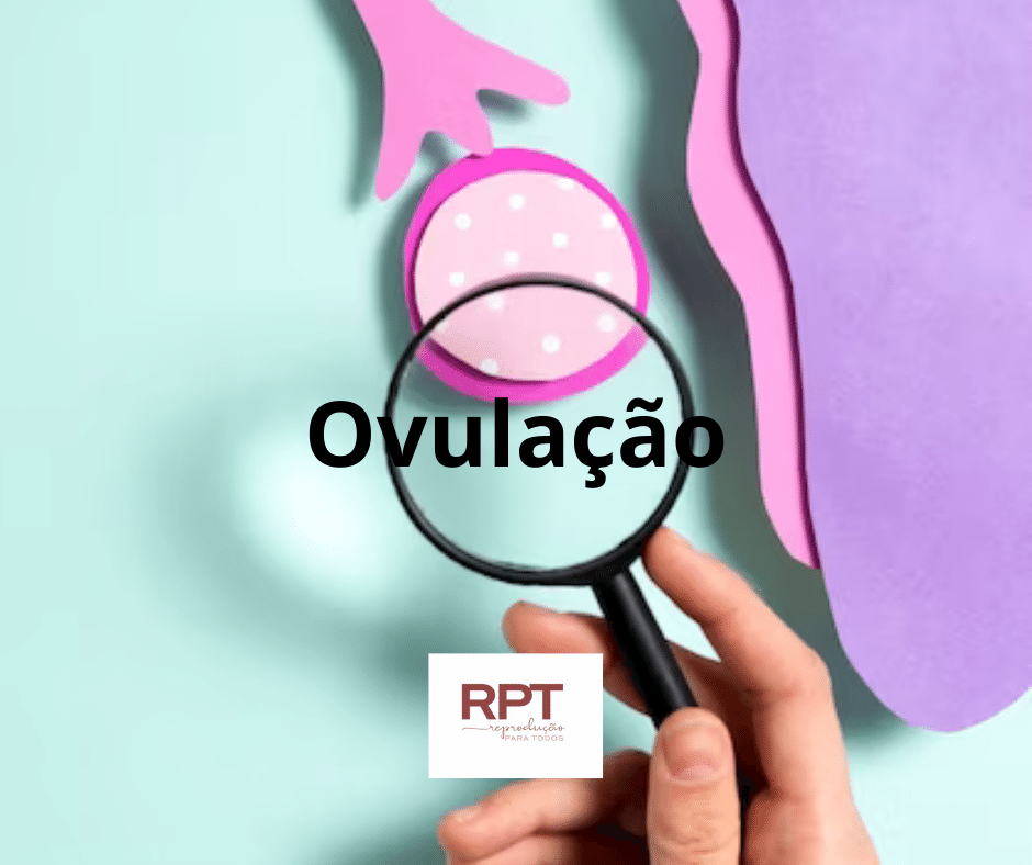 ovulação