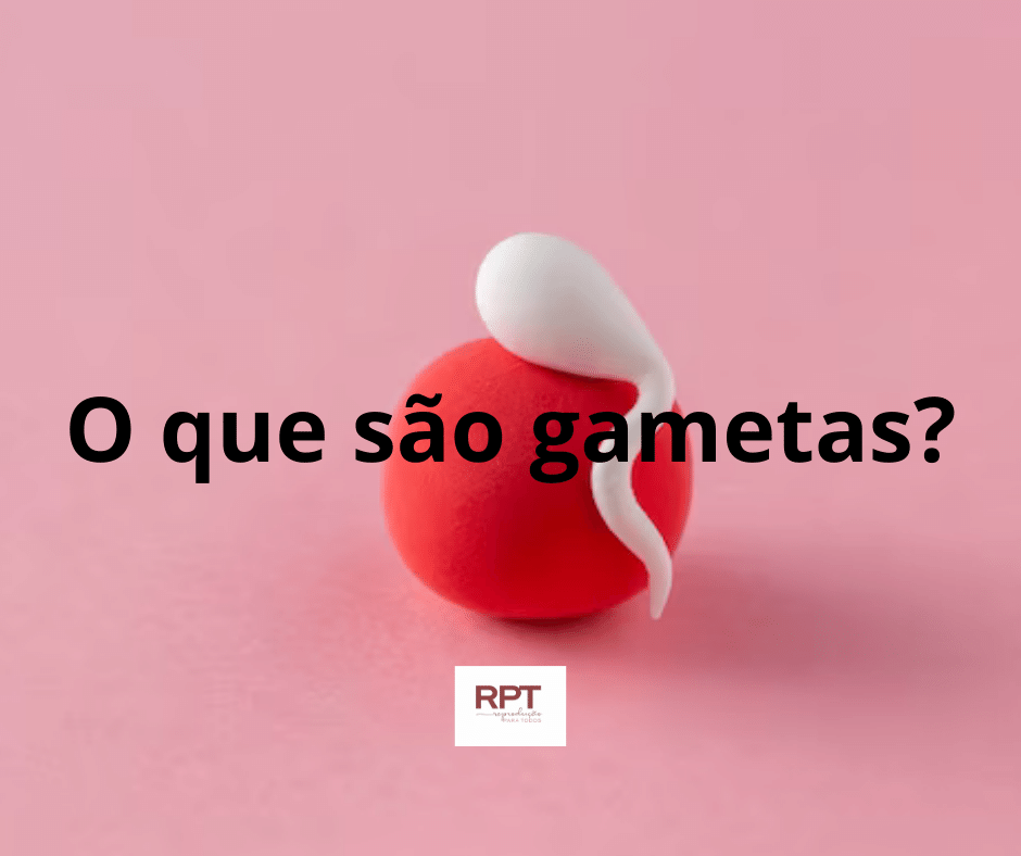 O que são gametas?