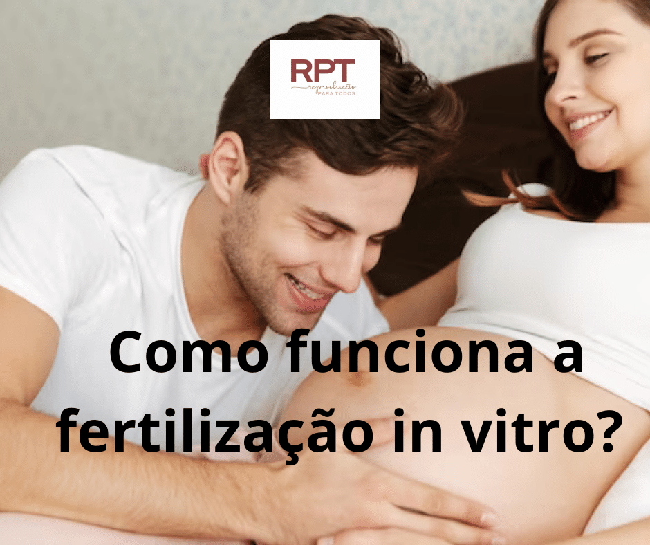 Como funciona a fertilização in vitro