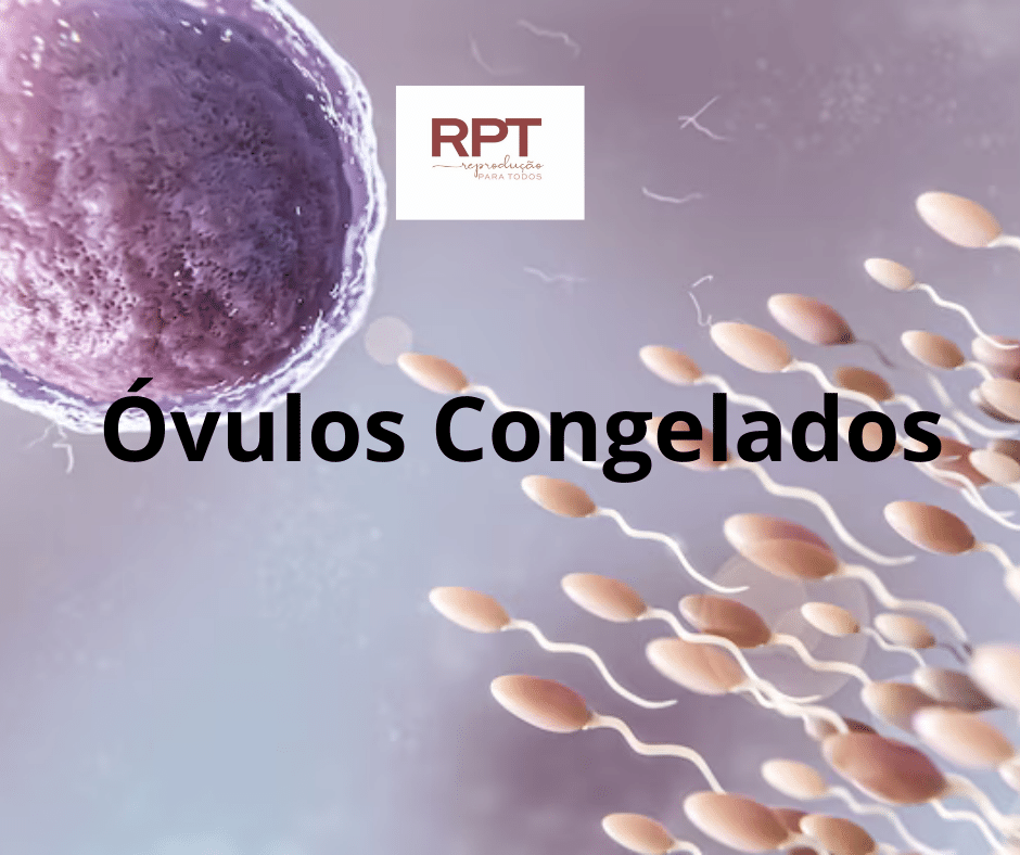 Óvulos Congelados