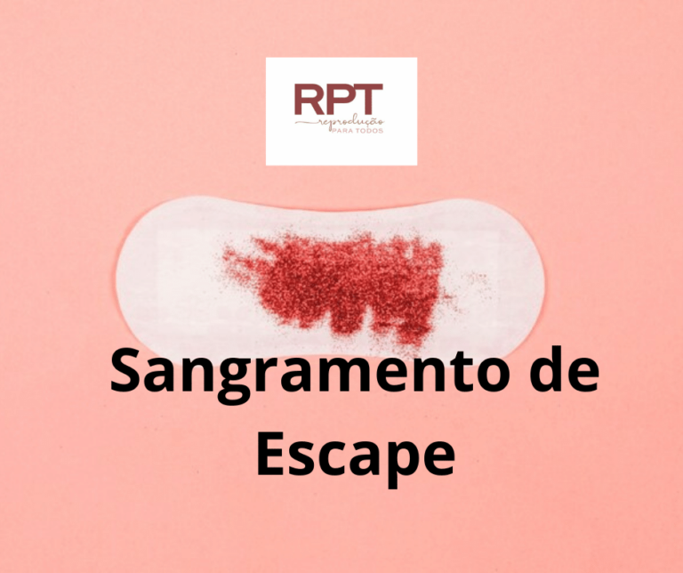 Sangramento de Escape e Gravidez - Programa RPT - Reprodução Para Todos