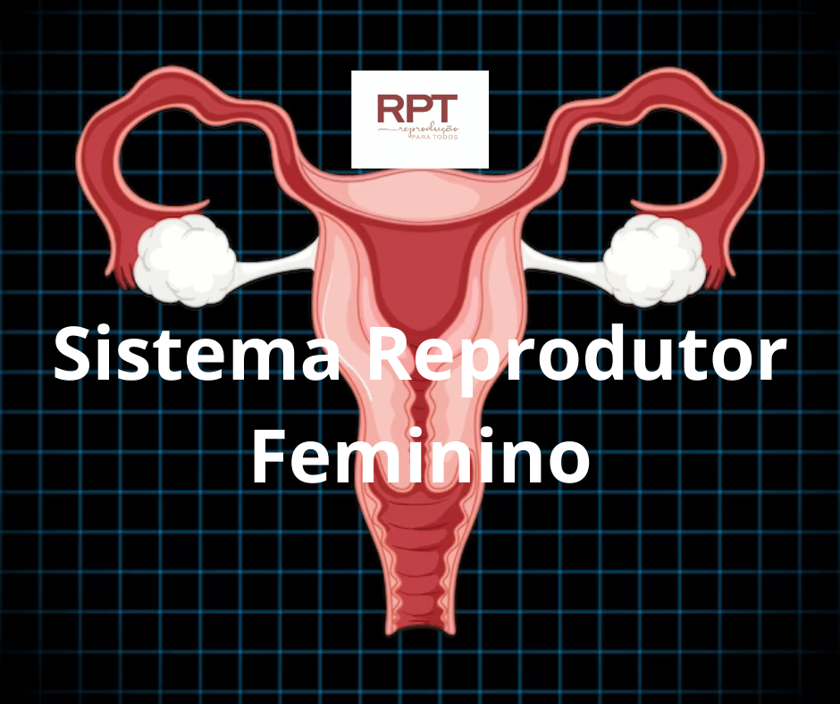 Sistema Reprodutor Feminino