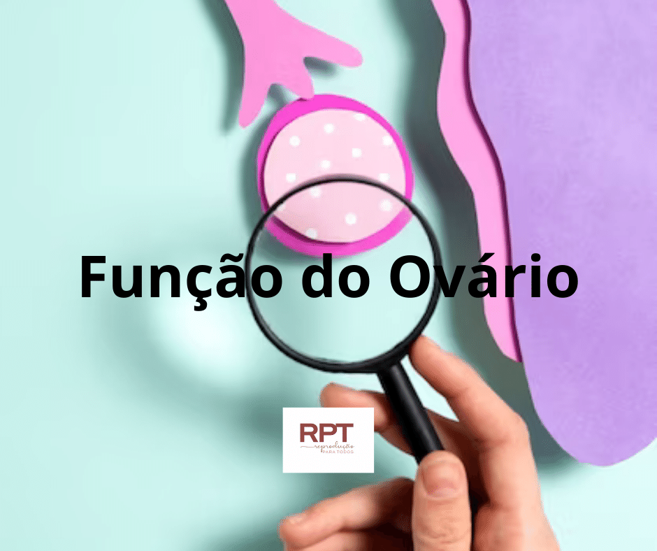 Função do Ovário