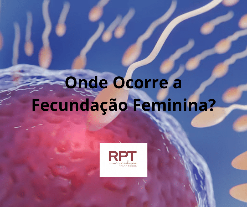 Onde Ocorre a Fecundação Feminina?