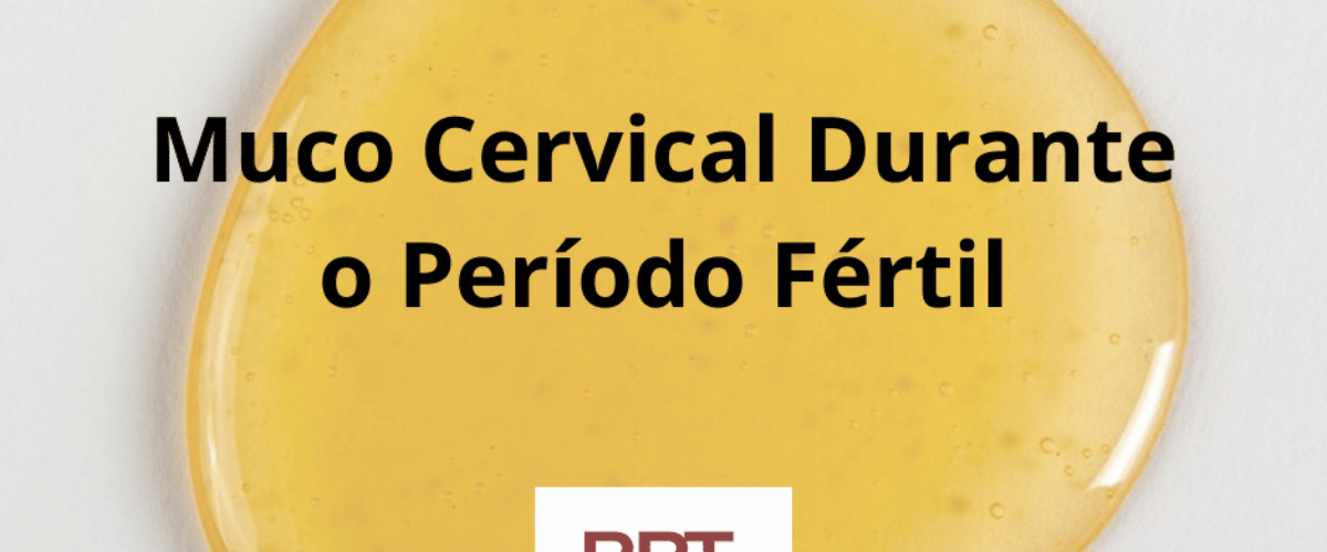 Muco Cervical Durante o Período Fértil