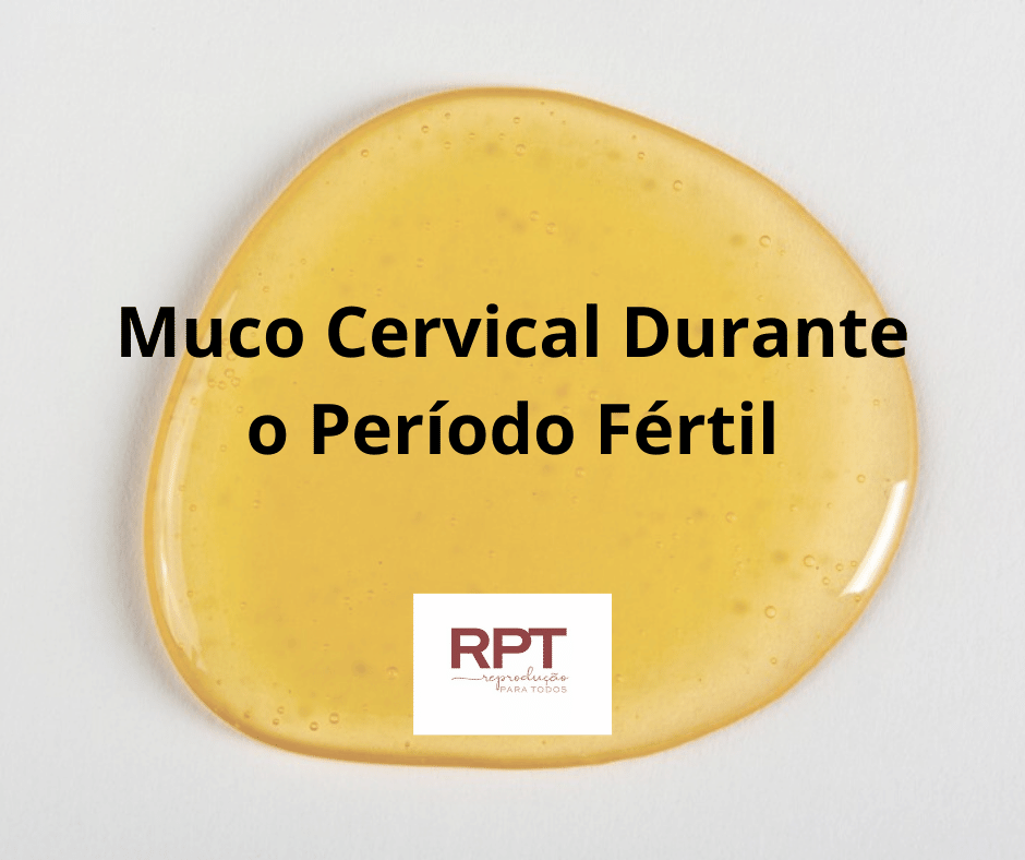 Muco Cervical Durante o Período Fértil