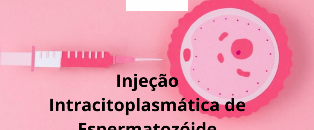 Injeção Intracitoplasmática de Espermatozóide