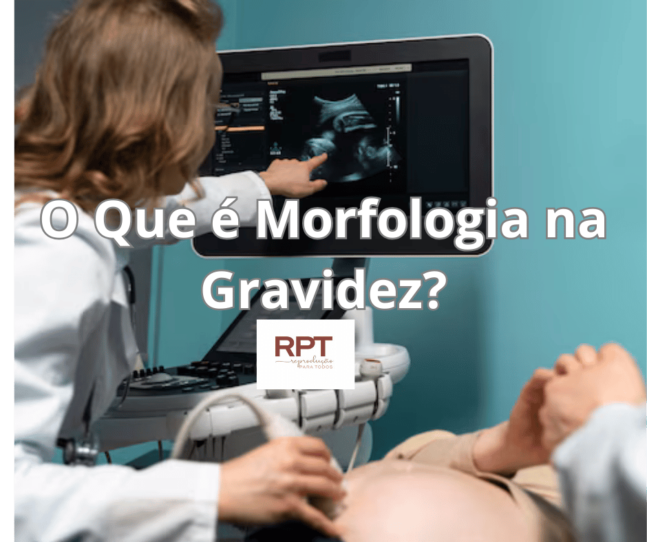 O Que é Morfologia na Gravidez?