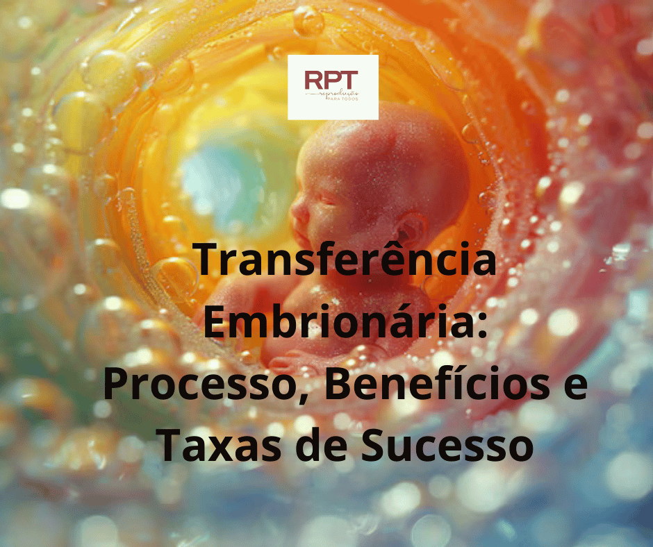 Transferência Embrionária: Processo, Benefícios e Taxas de Sucesso