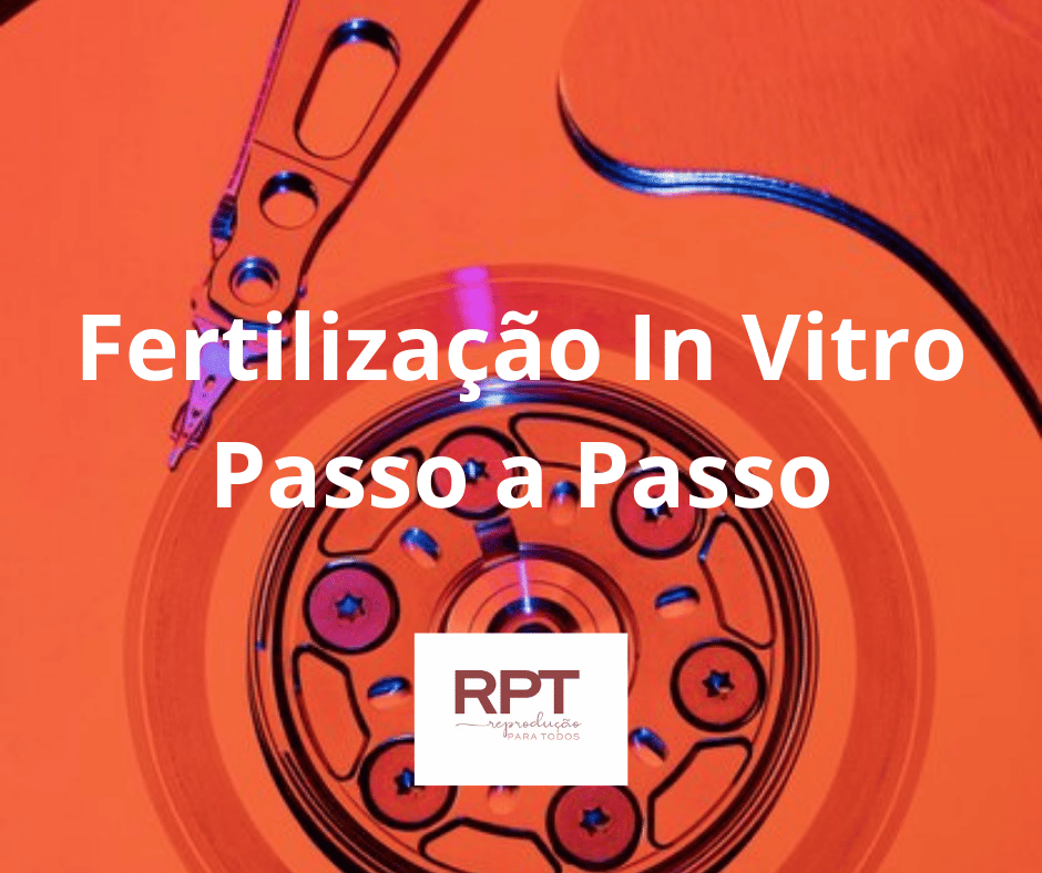 Fertilização In Vitro Passo a Passo